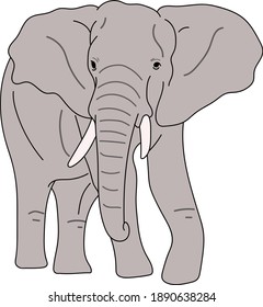 Elephant Vector Line Art Cartoon