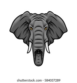 Elephant vector mascot icon. Head of African or Indian elephant or mammoth animal with tusks and trunk. Isolated emblem design for sport team, safari nature hunting club or tattoo sign