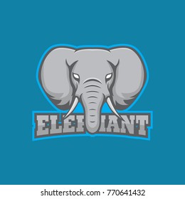 Elephant vector mascot logo illustration head face emblem
