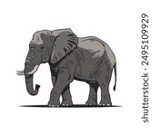 An elephant vector on a white background