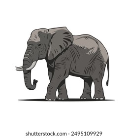 An elephant vector on a white background