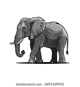 An elephant vector on a white background