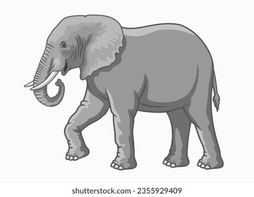 Elephant vector realistic. African elephant.  Vector drawing on a white background