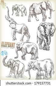 elephant vector sett