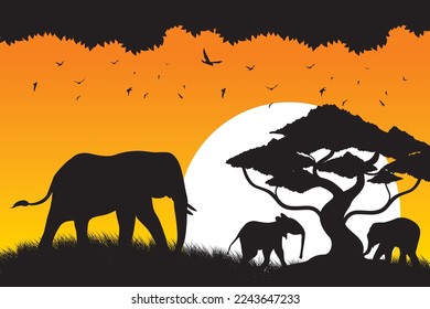 Elephant vector. Elephant silhouette in the safari park. Beautiful view on the savanna at sunset