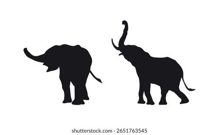 Silhuetas de vetor de elefante na cor preta