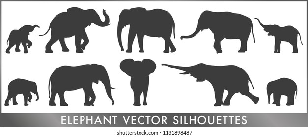 Elephant vector silouettes