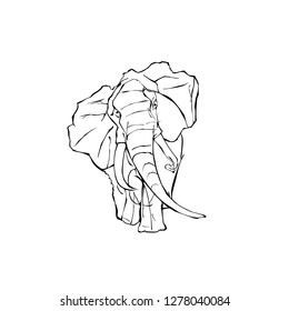 Elephant vector sketch. Sketch drawing of an elephant. Elephant on white background