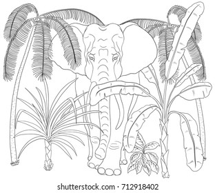 Elephant walk through the jungle. Coloring book with palms and animal.