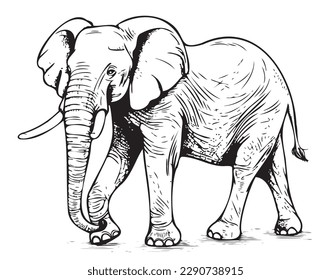 Elephant walking hand drawn sketch illustration African animals