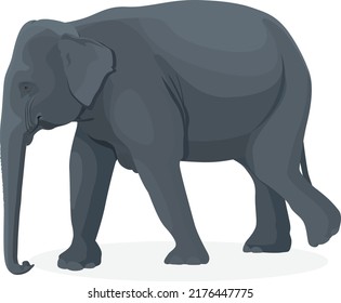 Elephant walking illustration, Big animals,