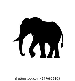 Elephant walking silhouette on white background