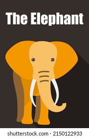 Elephant walking to you, flat 3D icon design