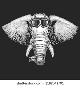 Elephant wearing aviator hat. Print for children clothes, tee, t-shirt. Pilot wild animal