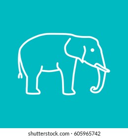 Elephant Web line icon.