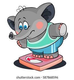 elephant weighed on the scales