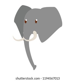 Elephant wild animal