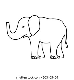 elephant wild animal