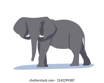 Elephant Wild Animal Isolated on White Background. Wildlife Creature, Safari Hunting, Zoo Park Mascot. African, Asian, Indian Jungle Mammal with Tusks, Giant Elephant. Cartoon Vector Illustration