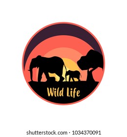 Elephant Wild Life Of Sunset
