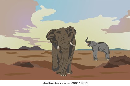 Elephants