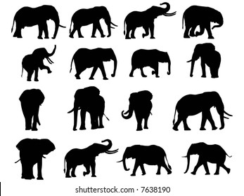 Elephants