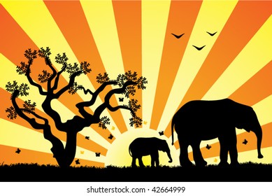 elephants in africa