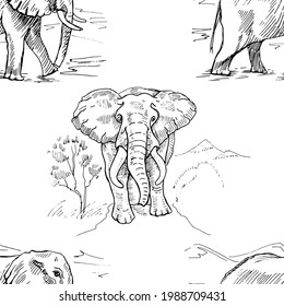 Elephants africa savannah doodle sketch hand drawn patern seamless print textile. isolated animals on white background graphics line nature wild animals jungle