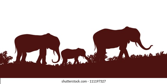 elephants and baby