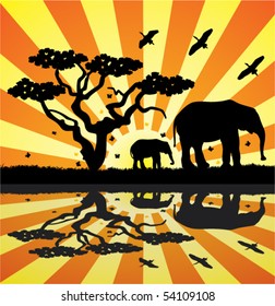 elephants, birds and butterflies in africa