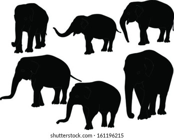 elephants collection - vector