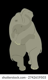 Elephants couple in love vector illustration isolated on background. Africa safari animals. Strong powerful mammals mating. Elephant in hug, male hugging female, happy family closeness and tenderness.