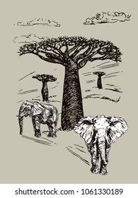 Elephants couple standing, African landscape with baobabs, hand drawn doodle, sketch in pop art style, vector black and white illustration? on gray background