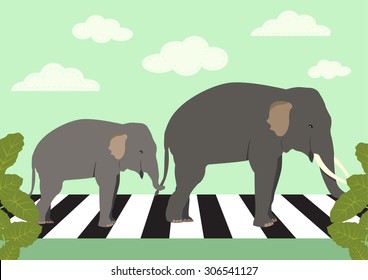 elephants crossing zebra crossing, vector illustration