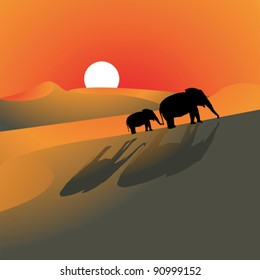 Elephants Desert Sundown
