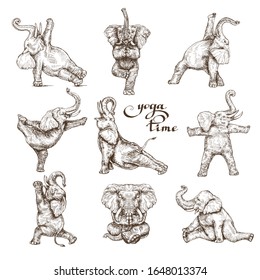 Elephants doing yoga exercises set lettering yoga time style engraving sketch vector