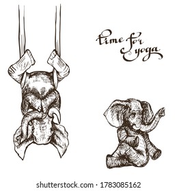 elephants doing yoga in various poses illustration in the style of engraving
