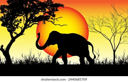 elephants in the evening moon light