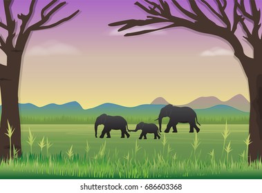 Elephants family in meadow. Nature landscape background