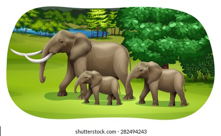 Elephants family walking through the forest field