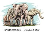 An Elephant's herd.