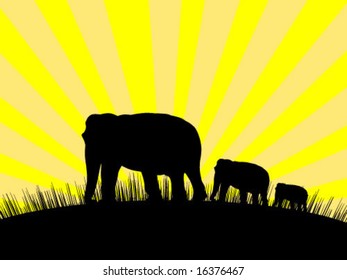 elephants illustration