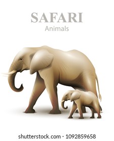 Elephants isolated Vector illustration. Animals wildlife templates