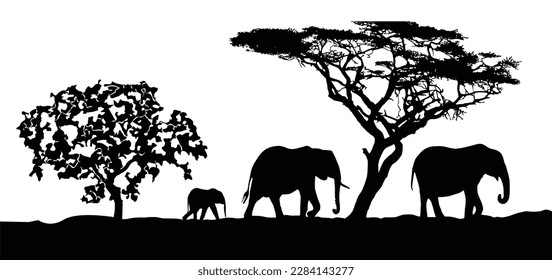 Elephants jungle safari vector illustration