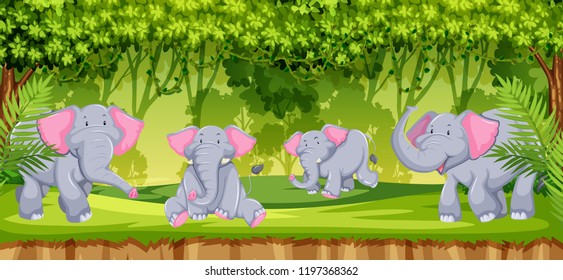 Elephants in the jungle scene illustration