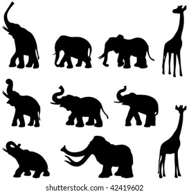 Elephants, mammoth, giraffe