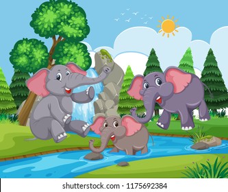 Elephants playing in the water illustration