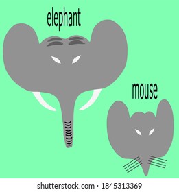 elephants and rats resemble the similarities seen in cartoons with big ears. however elephants have a longer nose called a trunk