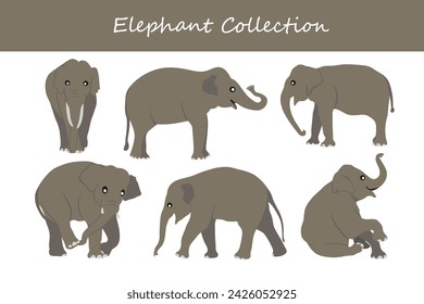 Elephants set. Different poses, coat colors. Vector illustration