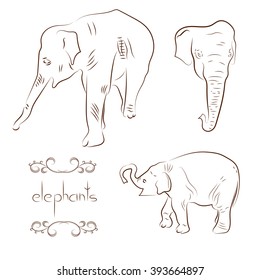 Elephants set. Sketch vector illustrations. 